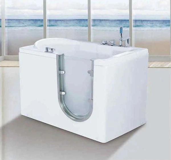 walk in bathtub and shower in modern bathroom